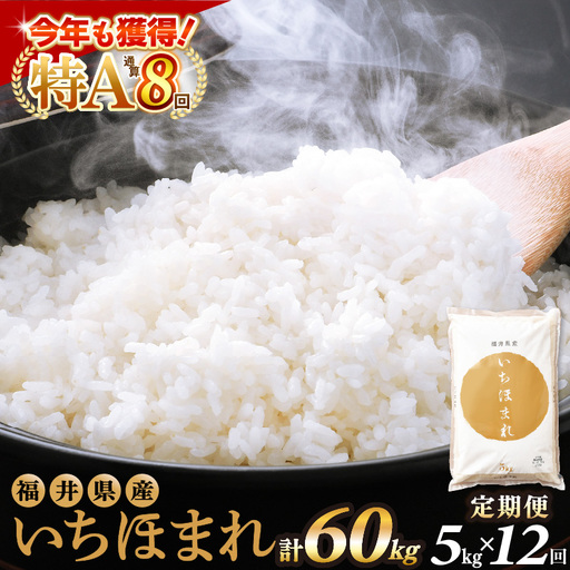 【12回定期便】いちほまれ 5kg 福井県 定期便 精米 ブランド米 [e27-l004]