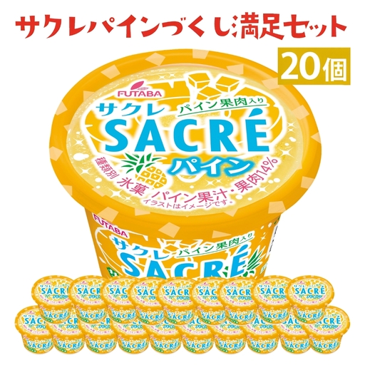 サクレパインづくし満足セット　20個｜アイス かき氷 シャーベット デザート ※着日指定不可 ※離島への配送不可◇