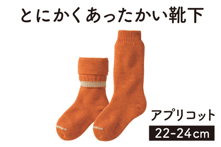 とにかくあったかい靴下 女性用（22〜24cm）【アプリコット】くつ下 レディース