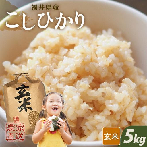[先行予約][令和8年産・新米][玄米 5kg] コシヒカリ 5kg [2026年10月上旬以降順次発送] [A-8934_02]
