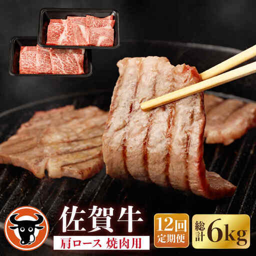 【定期便】牛肉 肩ロース 焼肉用 計500g NAC154 牛肉 全12回