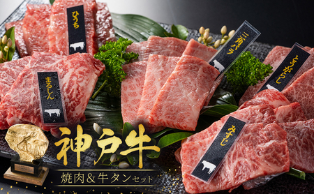 神戸牛 焼肉 バラ もも 牛タン セット 500g 神戸牛