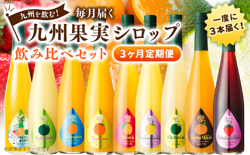 [3ヶ月定期便] 九州を飲む!毎月届く 九州果実シロップ 飲み比べセット 500ml×3本×3回 果物 フルーツ ジュース