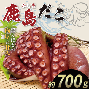 たこ 鹿島だこ 鹿島灘 タコ | 茨城県鹿嶋市 | ふるさと納税サイト