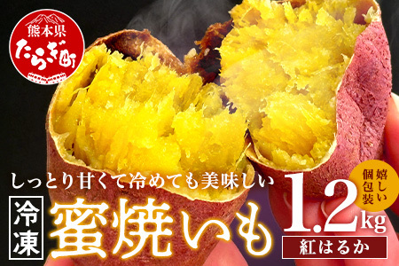 《冷凍》紅はるか 蜜 焼いも 真空袋 合計1.2kg (120g×10袋) 焼き芋 蜜芋 焼きいも 濃厚 焼き芋 おやつ 夜食 ねっとり やきいも 個包装 冷凍 さつまいも 紅ハルカ 熊本産 いも お芋 スイーツ  042-0583
