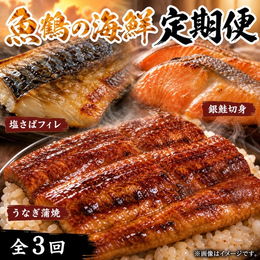 【全3回】魚鶴厳選！人気のお魚集合定期便（さば・銀鮭・うなぎ）【tkb307】