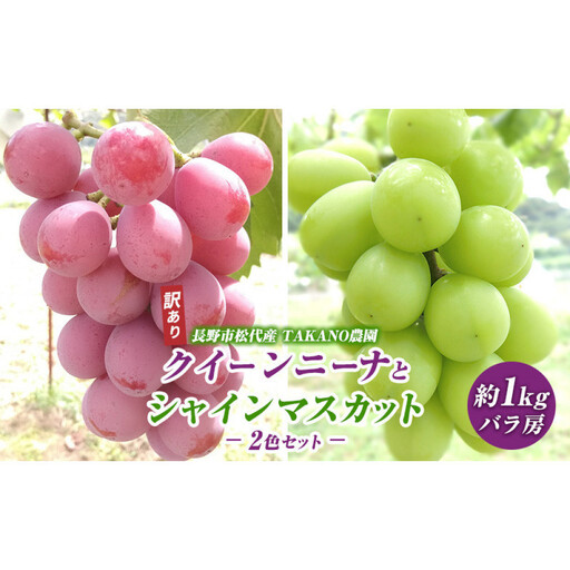 高野農園 ぶどう 訳あり 先行予約 シャインマスカット クイーンニーナ 計約1kg 種なし 不揃い |シャインマスカット
