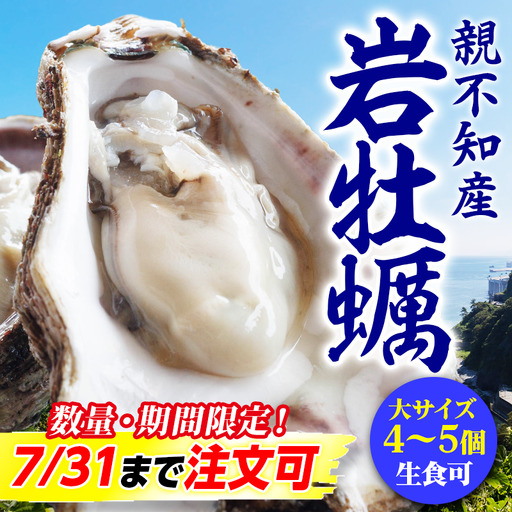 【先行予約】親不知産 天然岩牡蠣(生食用) 大サイズ４～５個 2026年7月中旬以降順次発送 鮮度抜群！ 水揚げ直後に発送 日本海 かき カキ 岩ガキ