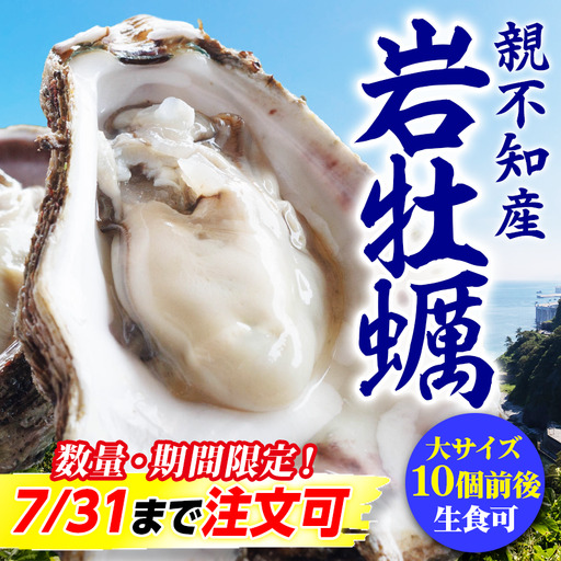 【先行予約】親不知産 天然岩牡蠣(生食用) 大サイズ10個前後 2026年7月中旬以降順次発送 鮮度抜群！ 水揚げ直後に発送 日本海 かき カキ 岩ガキ