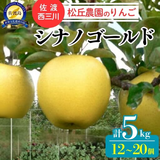 りんご シナノゴールド 5kg 10月上旬以降発送| 新潟県 佐渡市 松丘農園 りんご