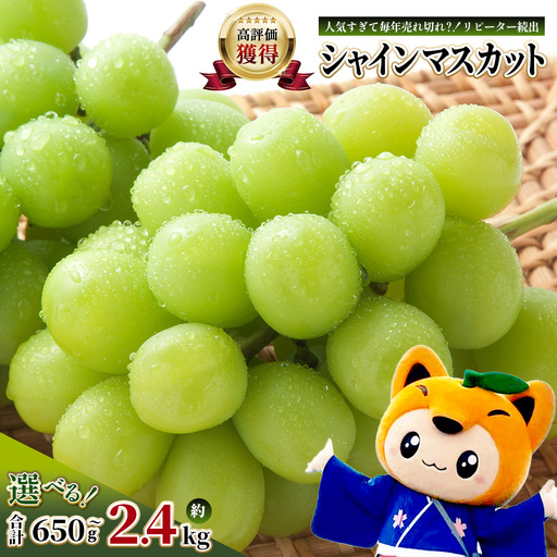 [特別寄付額10000円→9000円]シャインマスカット 約1.2kg 2〜3房 ご家庭用 佐賀県産 [先行予約 2026年8月上旬以降発送]