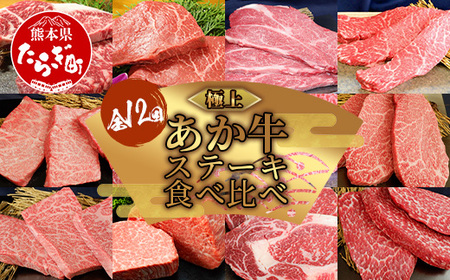 【定期便12回】あか牛ステーキ 12種 ＼＼極上／／ 食べ比べ！ 熊本県産 自社牧場 和牛 タレ付 豪華 希少 希少部位 シャトーブリアン サーロイン サーロインステーキ ランプ ランプステーキ 肩ロース ロース 肩ロースステーキ イチボ イチボステーキ 三角バラ バラ 三角バラステーキ カイノミ カイノミステーキ ミスジ ミスジステーキ クリミ クリミステーキ ザブトン ザブトンステーキ シャトーブリアンステーキ リブロース リブ リブロースステーキ モモステーキ モモ牛肉 お肉 肉 肉 和牛 国産 ステーキ ステーキセット あか牛ステーキセット あか牛食べ比べ ごちそう ご馳走 贅沢 1年 一年間 1年間 定期便 定期発送 定期 熊本県 熊本 046-0635