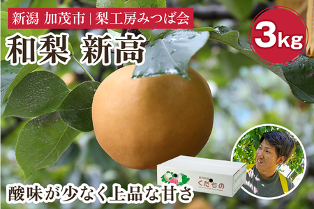 【2026年先行予約】新潟県産 和梨 新高 3kg（4～5玉） 《10月上旬以降発送》にいたか 梨工房みつば会
