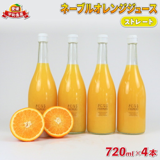みかんジュース 果汁100% ストレート ネーブルオレンジ ジュース 720ml × 4本 誉農園 ジュース 飲料 柑橘 みかん 蜜柑 オレンジ ストレートジュース 100%ジュース 果物 くだもの mikan 愛媛みかん フルーツ 数量限定 国産 愛媛 宇和島 H012-138004