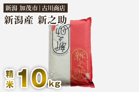 【令和7年産】新潟の新ブランド米「新之助」精米10kg 白米
