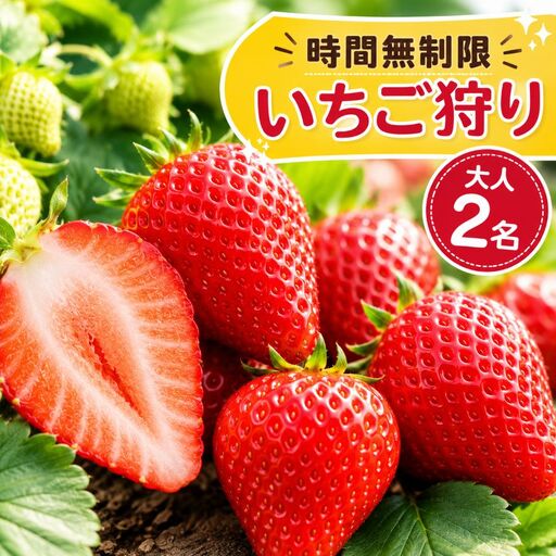 【先行予約】「いちご狩り体験チケット」入園券大人2名