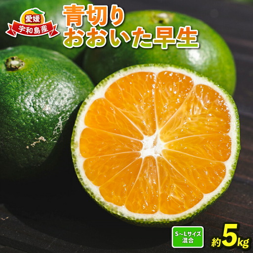極早生 みかん 5kg コルレオファーム 温州みかん 温州 B010-145002