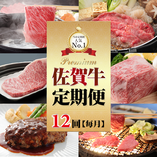 【12回定期便】佐賀牛 牛肉 定期便 Q264-001