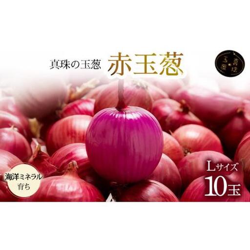 真珠の玉葱 赤玉葱Lサイズ10玉 ≪海のミネラルで育てた特別栽培玉葱≫【50107】