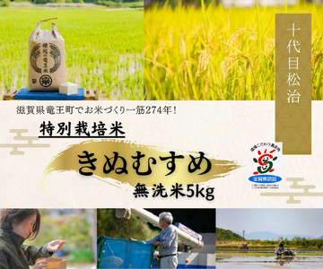 米 きぬむすめ 無洗米 5kg 縁起の竜王米 （令和7年産）