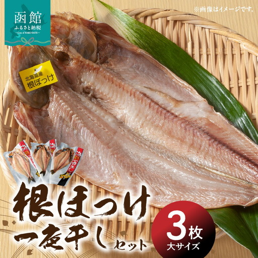根ほっけ一夜干しセット ほっけ ホッケ 北海道産 脂のり抜群 干物 魚 魚介 函館 はこだて_HD098-005