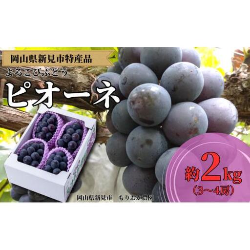 もりおか農園 よろこびぶどう ピオーネ 約2kg 3〜4房 [先行予約 9月上旬から順次発送]