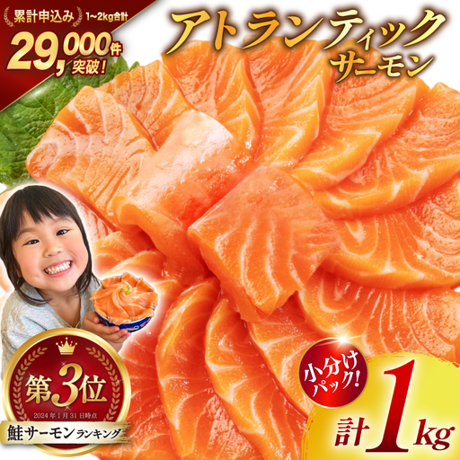 ノルウェー産 アトランティックサーモン 総重量 1kg 小分け サーモン 