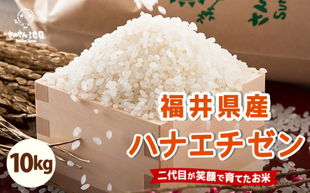先行予約[令和8年産・新米]さんさん池見二代目の 福井県産 ハナエチゼン 10kg (上白米) [B-0227_01]