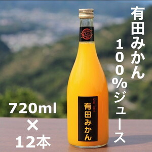 【搾りたて発送】和歌山産　有田みかん100%ジュース 720ml×12本 無添加ストレート ※着日指定不可 ※北海道・沖縄・離島への配送不可