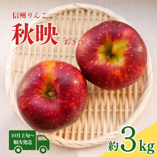 [2026年先行予約]秋映 約3kg|りんご りんご