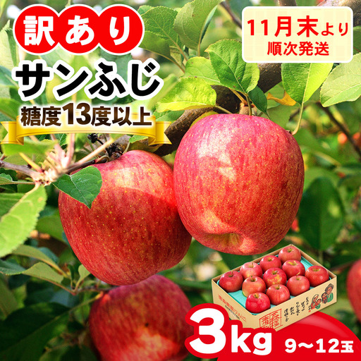 [訳あり] りんご サンふじ 3kg (9玉から12玉入り 3kg 1箱)  見た目にわけあり 味はそのまま [0838]