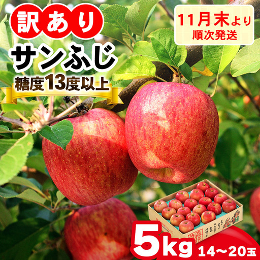 [訳あり] りんご サンふじ 5kg (14玉から20玉入り 5kg 1箱) 見た目にわけあり 味はそのまま [0839]