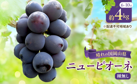 [2026年先行予約] ぶどう 岡山県産 ニューピオーネ ( 種無し )約4kg(6〜10房)[約2kg(3〜5房)×2箱] [2026年8月下旬-9月中旬頃出荷] 葡萄 ブドウ フルーツ 果物 スイーツ 数量限定 期間限定 岡山 里庄町