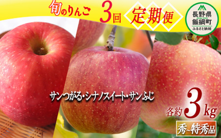 旬のりんご 【 定期便 】 秀 〜 特秀 3kg × 3回 マルハ農園 沖縄県への配送不可 2026年9月上旬頃から2026年12月中旬頃まで順次発送予定 令和8年度収穫分 エコファーマー認定 信州 果物 フルーツ リンゴ 林檎 長野 予約 農家直送 長野県 飯綱町 [1641]
