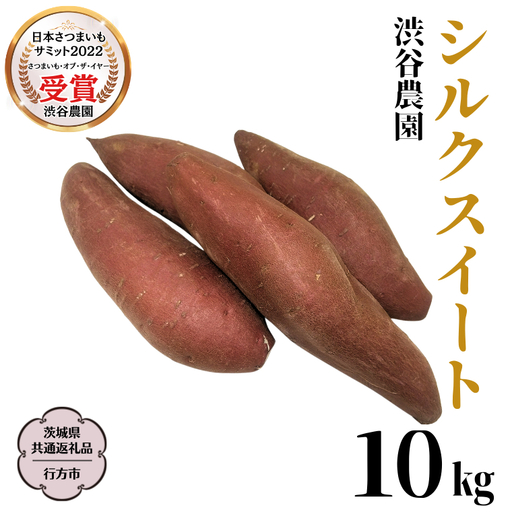 《 2026年 収穫分 》 シルクスイート 約 10kg (茨城県共通返礼品 行方市) 先行予約 渋谷農園 国産 茨城県 桜川市 さつまいも サツマイモ いも 芋 新芋 焼き芋 やきいも 野菜 旬 人気 おやつ 自宅用 家庭用 [DT010sa]