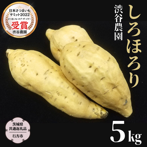 《 2026年 収穫分 》 しろほろり約 5kg (茨城県共通返礼品 行方市) 先行予約 渋谷農園 国産 茨城県 桜川市 さつまいも サツマイモ いも 芋 新芋 焼き芋 やきいも 野菜 旬 人気 おやつ 自宅用 家庭用 [DT011sa]
