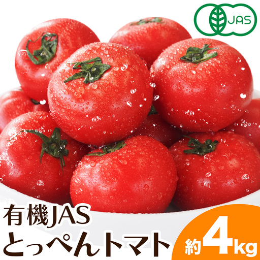 有機 JAS トマト 4kg 澤村農園 トマト