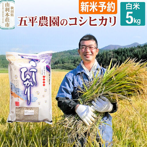 《令和8年産 新米受付》【白米】コシヒカリ 5kg 秋田県産 五平農園のコシヒカリ《12月上旬～12月下旬発送予定》