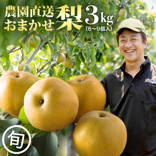 農園直送！おまかせ 梨 3kg 【7月下旬発送開始】 