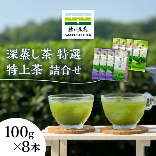 深蒸し茶 特選 ・ 特上茶 詰合せ 100g×8本セット 【有限会社 佐とう製茶】[ZAS003]