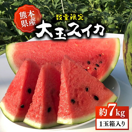 [先行予約][初夏に実った贈り物]大玉 スイカ 約7kg[なかむら農園]
