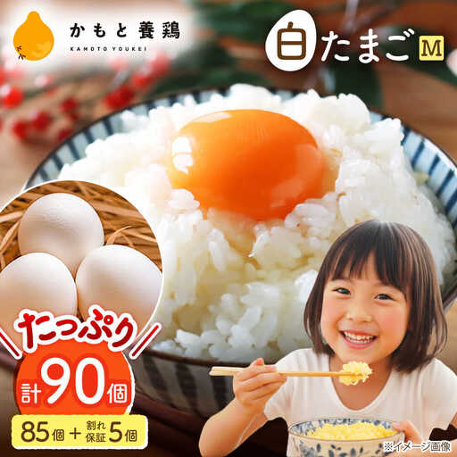 白たまごM玉卵90個(85個＋5個割れ保証)卵タマゴZCA001