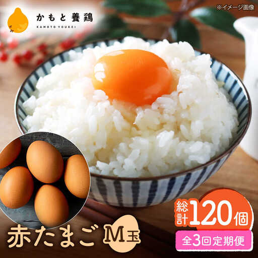 [全3回定期便] [化粧箱入り]赤たまご M玉 40個 (37個+割れ保証3個)[株式会社 かもと養鶏] タマゴ 玉子 熊本県 卵 国産 新鮮 濃厚 化粧箱 