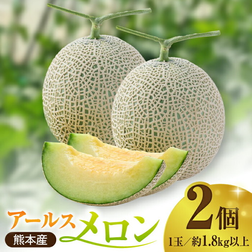 [先行予約]年内発送 クリスマスメロン セット[株式会社 前田ファーム]