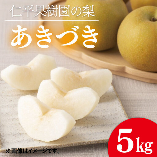 梨 あきづき 5kg 先行予約 2026年発送 仁平果樹園 益子町産 DB003