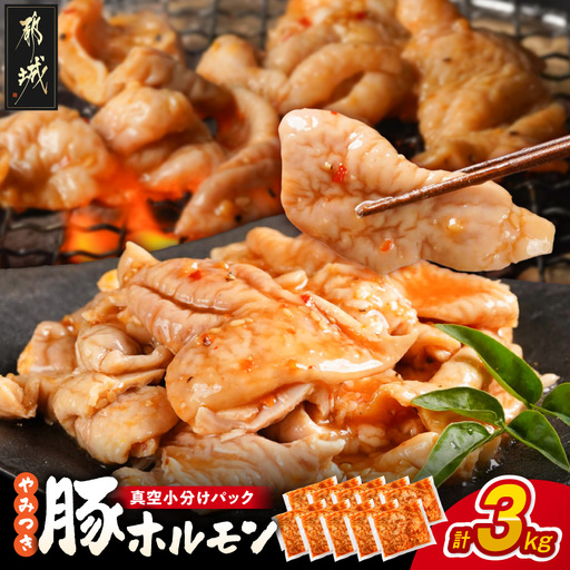 やみつき豚ホルモン!3kg!真空小分けパック!〔LG8-3303〕_(都城市) 国産 味付き 300g×10P 豚肉