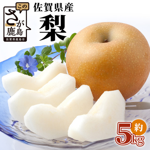 佐賀県産 梨 約5kg 旬の梨