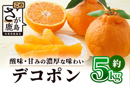 [予約受付]基準クリアの高級柑橘[デコポン]約5kg 不知火 しらぬい でこぽん みかん 蜜柑 ミカン オレンジ 柑橘 フルーツ 果物 贈り物 贈答 プレゼント 高級 ブランド 限定 ギフト