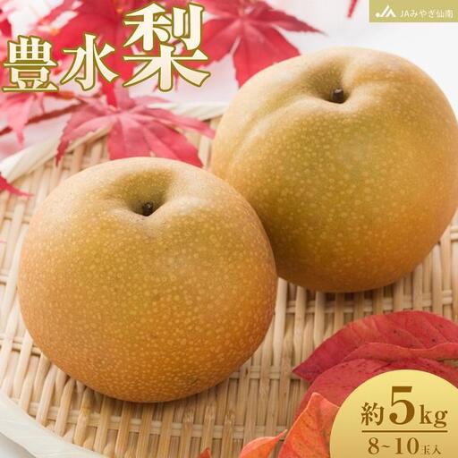 【JAみやぎ仙南】梨「豊水」約5kg (8～10玉入) ｜ 梨