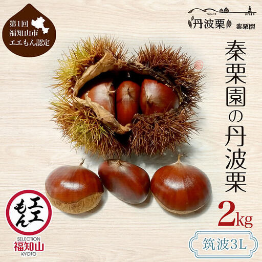 栗 くり 丹波栗 筑波 3L 2kg